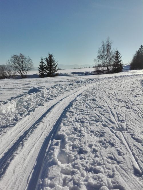 Bežky Bežky